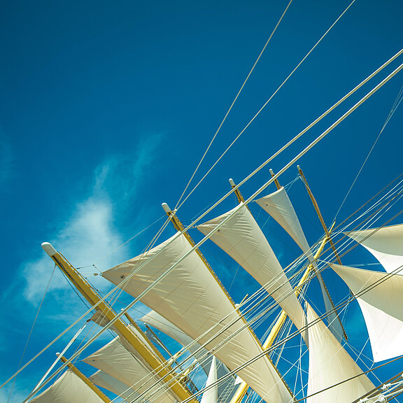 sails.jpg 